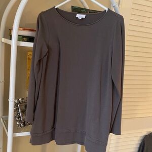 J. Jill Women's Long Sleeve Tunic in Brown